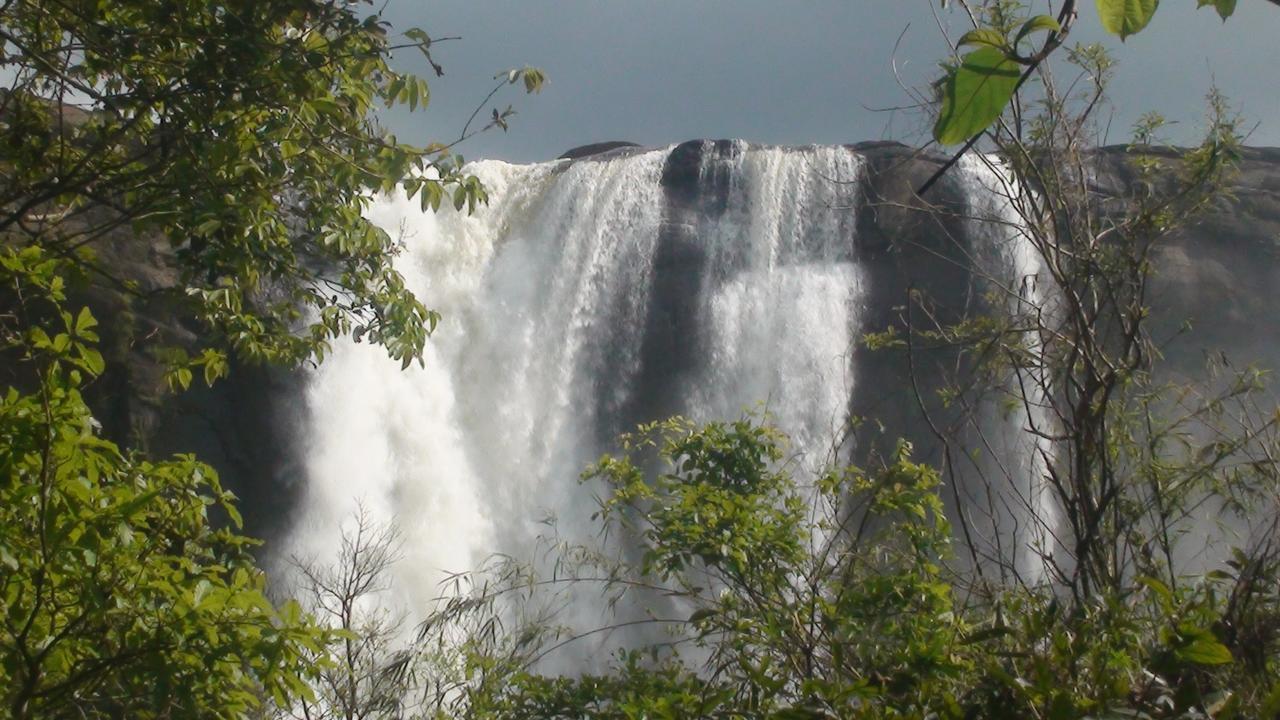 Takashi Homestay North Paravur Near Muziris Экстерьер фото